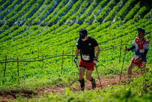 BIB: 
                            <button type="button" onclick="openModal(19162794)" class="btn btn-primary btn-sm float-right btn-popup" data-toggle="modal" data-target=".modal-high-quality">
                        <i class="fas fa-shopping-cart"></i> Add to Cart
                    </button>
                                            <button type="button" onclick="isThisMe(19162794, true)" class="btn btn-success btn-sm float-right btn-popup btn-isme hidden" data-toggle="tooltip" data-placement="bottom" title="นี่คือรูปของคุณใช่ไหม คลิกที่นี่เพื่อเอาเข้าอัลบั้ม">
                        <i class="fas fa-plus"></i> Add to album
                    </button>
                    <button type="button" onclick="isThisMe(19162794, false)" class="btn btn-warning btn-sm float-right btn-popup btn-isnotme hidden">
                        <i class="fas fa-ban"></i> Remove from album
                    </button>